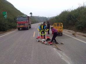 石臼湖车祸爆料最新消息,事故原因调查及伤亡情况公布