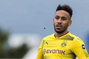 马济奥最新爆料消息,揭秘最新热点事件内幕