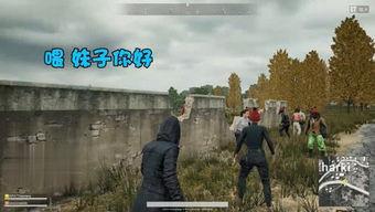 砀山最新事件爆料,揭秘背后真相，引发社会关注